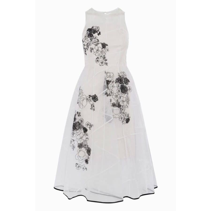 Coast Champagne Floral Hally Mesh Prom Cocktail Organza Pleated Dress 5 result