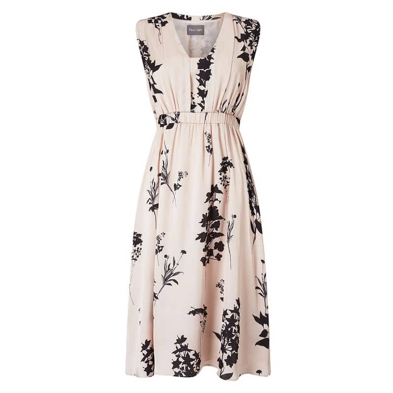 Phase Eight Cameo Tatiana Floral Print Dress 4 result
